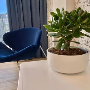Ann'S Apartment